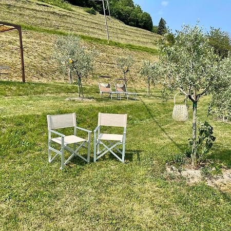Borgo Cantagallo Casa Olivia 2 トレモージネ エクステリア 写真